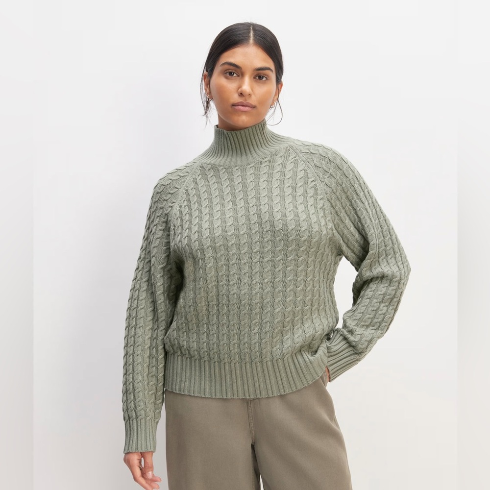 NWOT Everlane Cotton Merino Cable Turtleneck